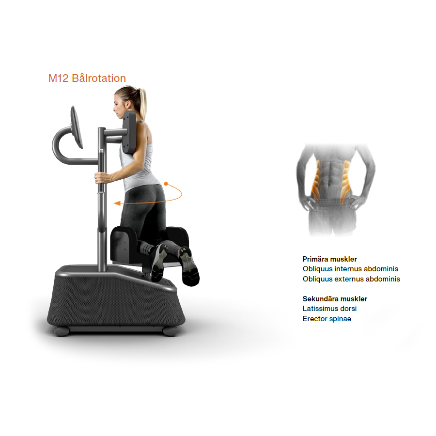 EGYM vartalon kierto