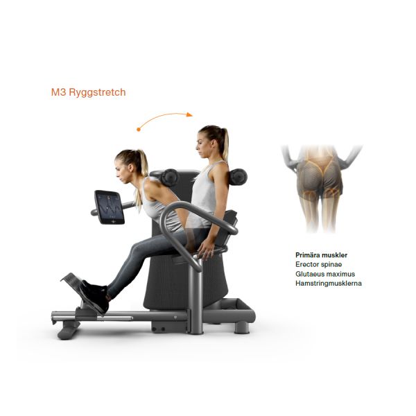 EGYM selkälaite